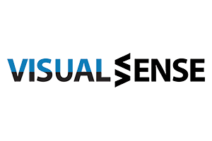 Visual Sense
